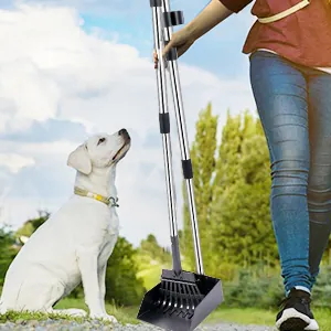 A dog sitting beside a person holding a pooper scooper