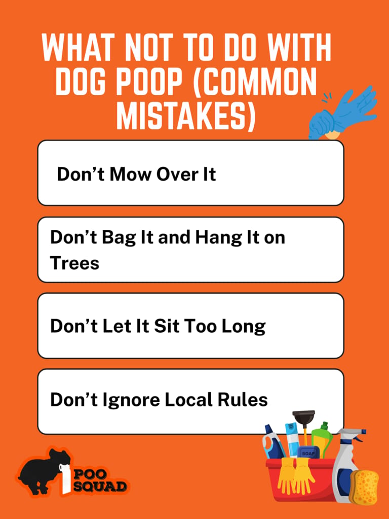 What Not to Do With Dog Poop (Common Mistakes) What Not to Do With Dog Poop (Common Mistakes)