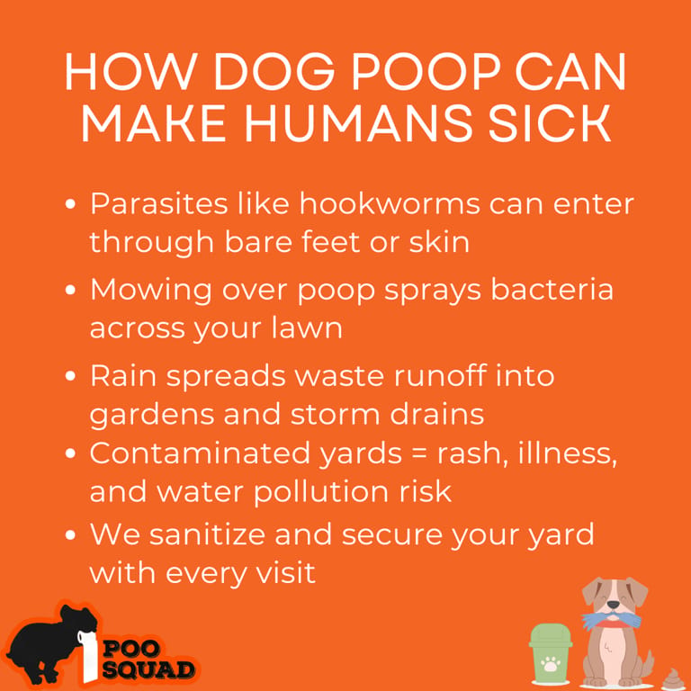how dog poop can make humans sick how dog poop can make humans sick