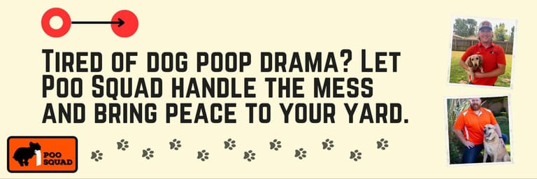 tired of dog poop tired of dog poop