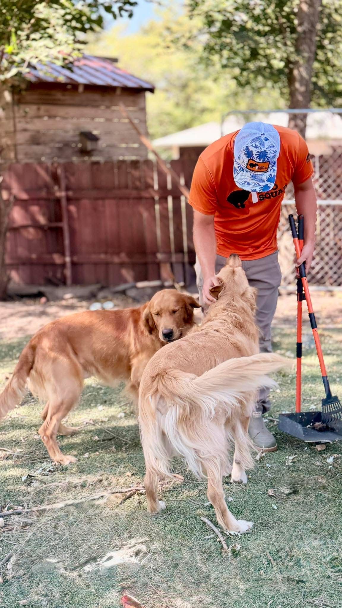 Poo Squad crew member petting two golden retrievers in a sunny backyard while holding a pooper scooper