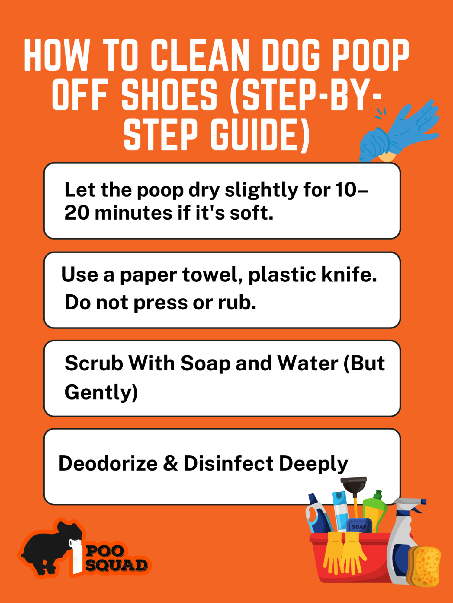 Fascinating How To Clean Dog Poop Off Shoes Photos