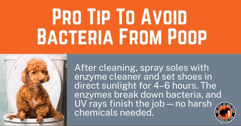 avoid bacteria from poop