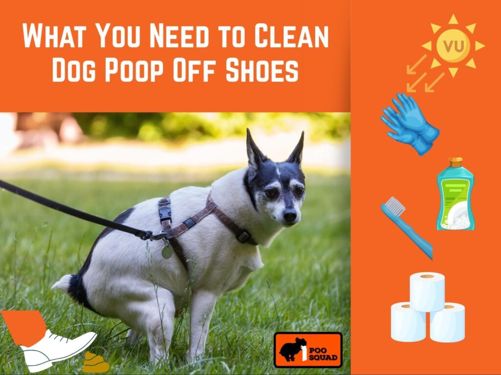 clean dog poop off shoes