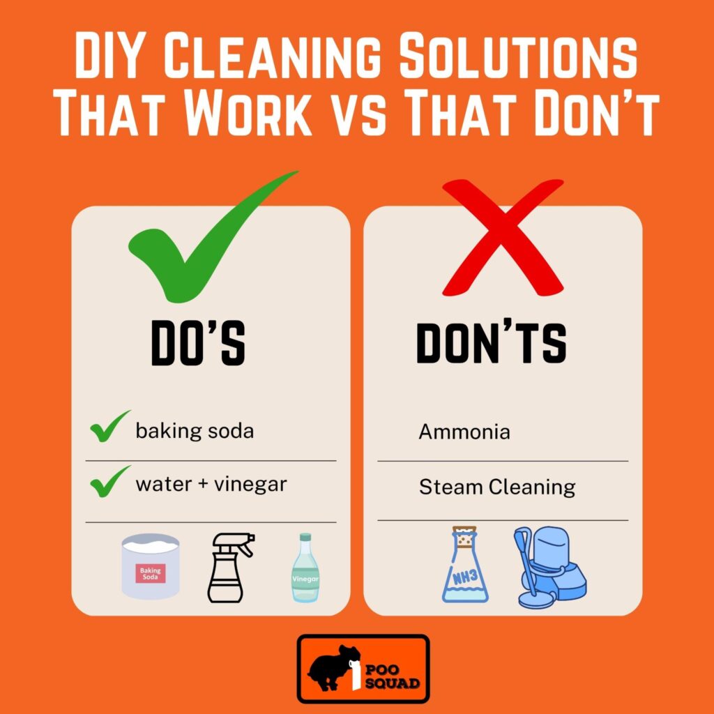 diy solutions dog poo carpet