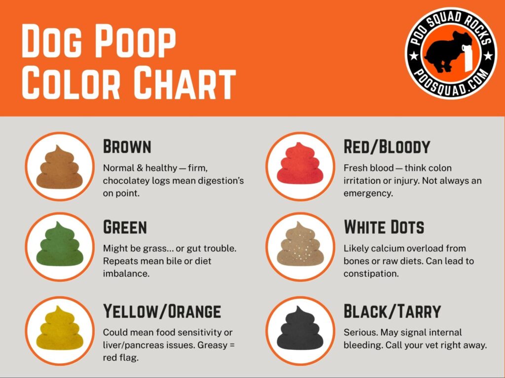 dog poop color chart