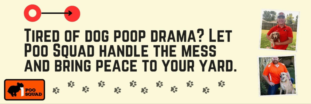 dog poop drama cta