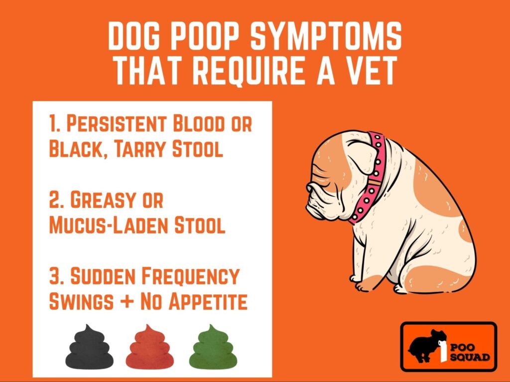 dog poop symptoms require vet