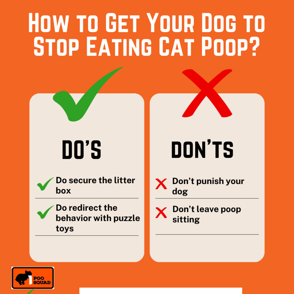 get dog stop eating cat poop