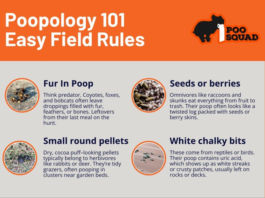 poopology 101 easy field guide