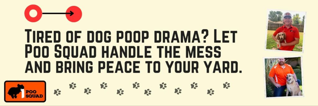 tired of dog poop