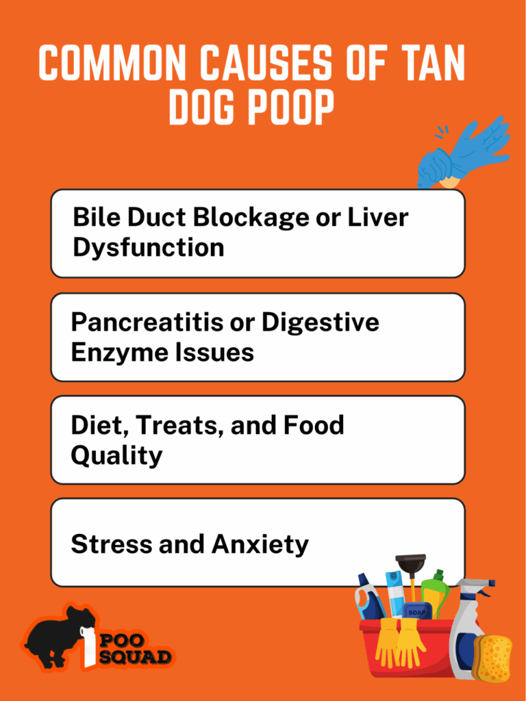 Common Causes of Tan Dog Poop