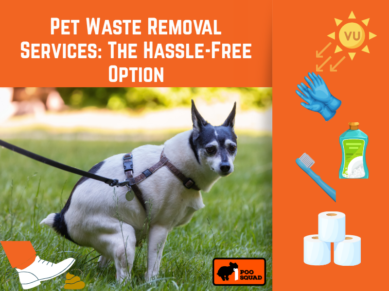 Pet Waste Removal Services
