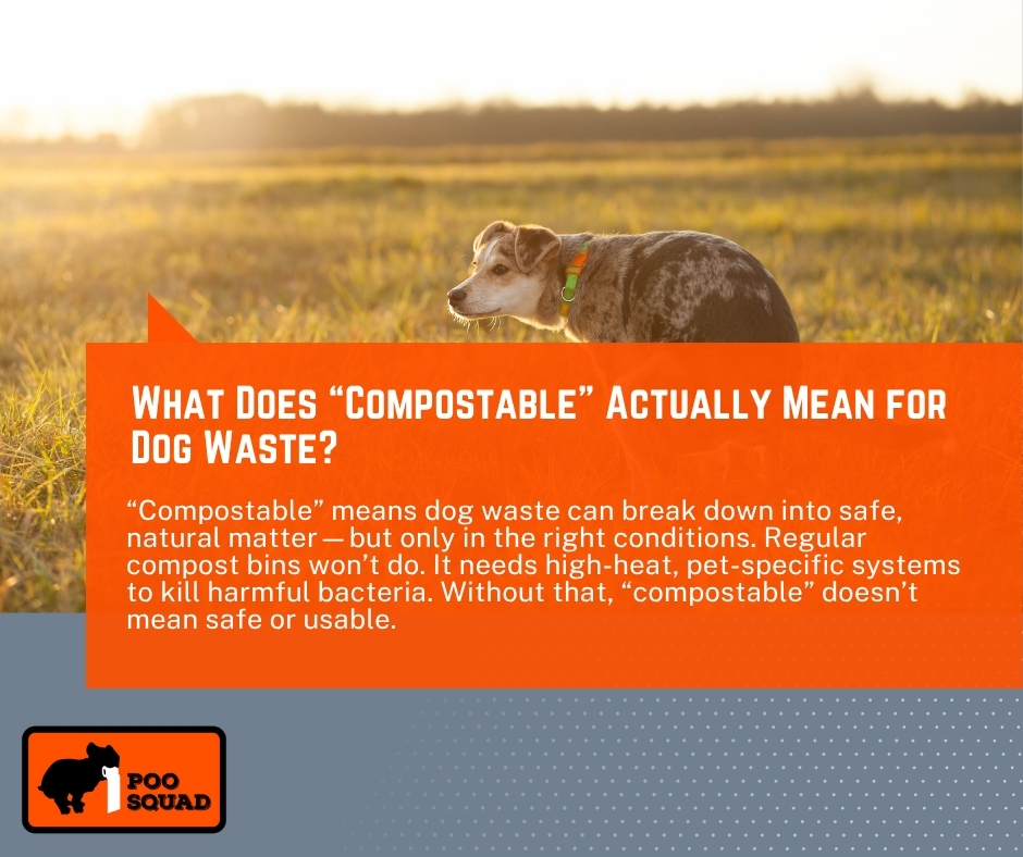What Does “Compostable” Actually Mean for Dog Waste