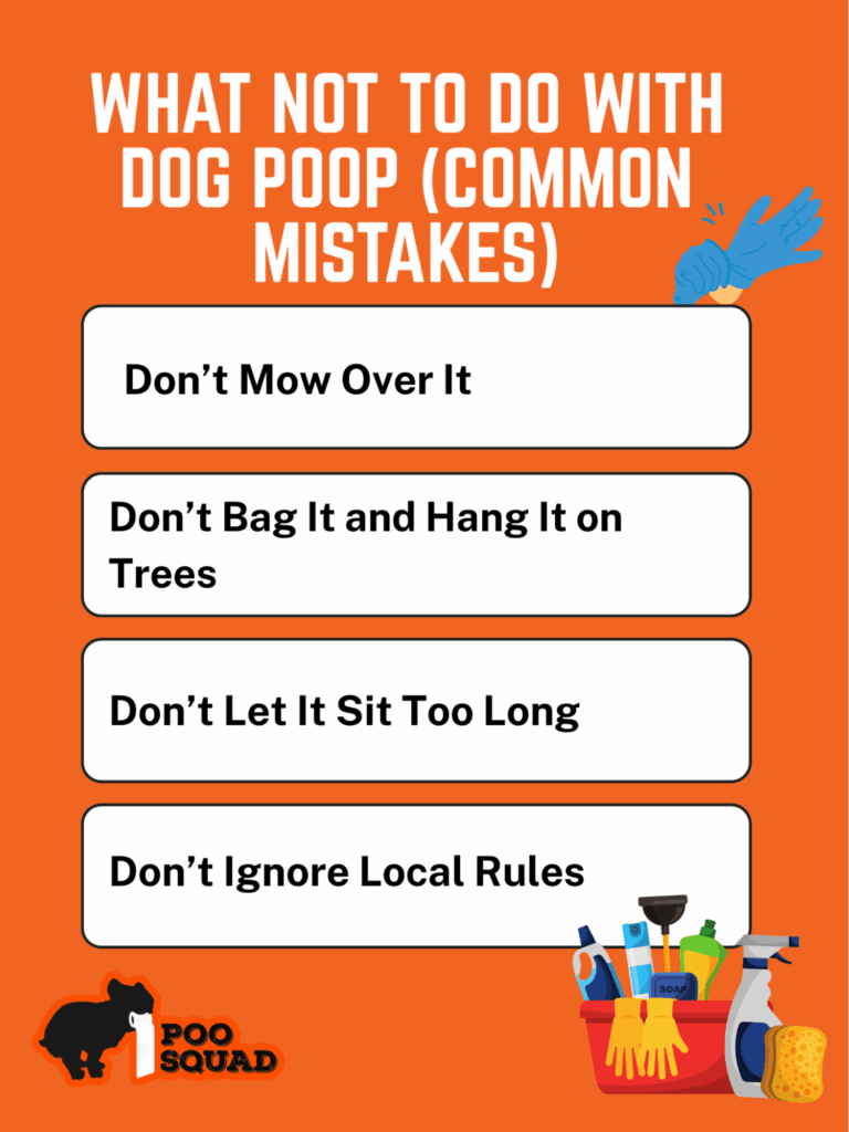 What Not to Do With Dog Poop (Common Mistakes)