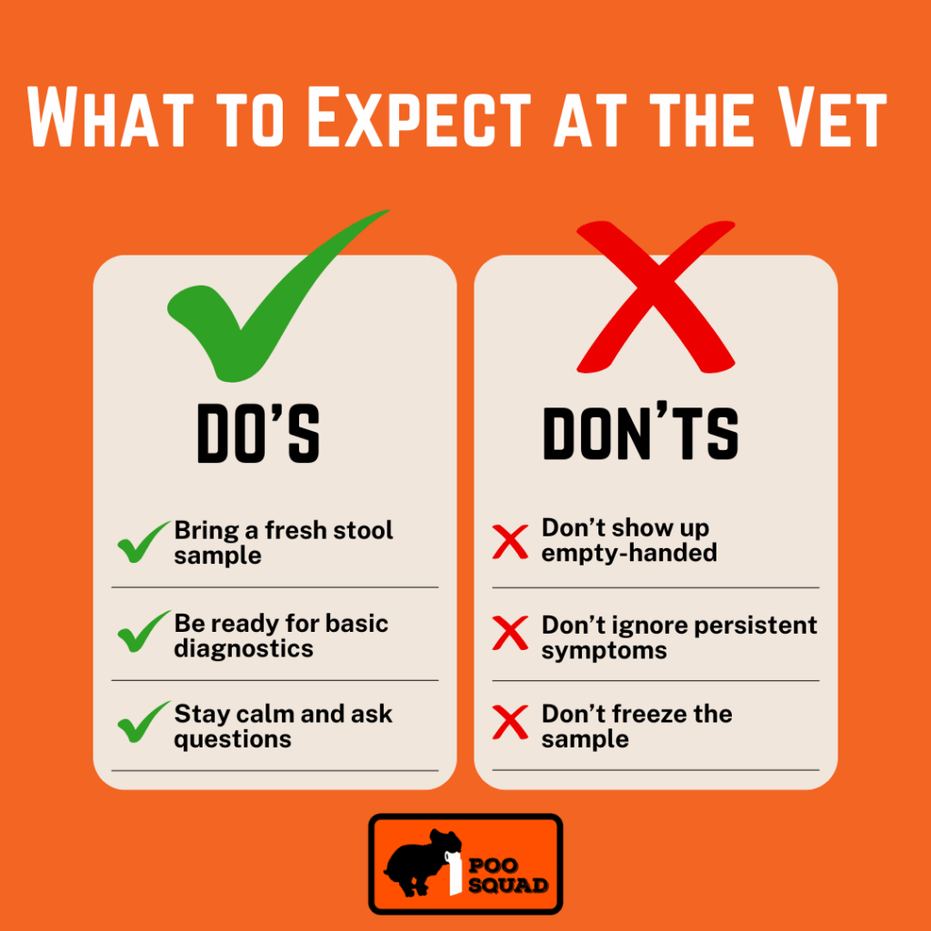 What to Expect at the Vet
