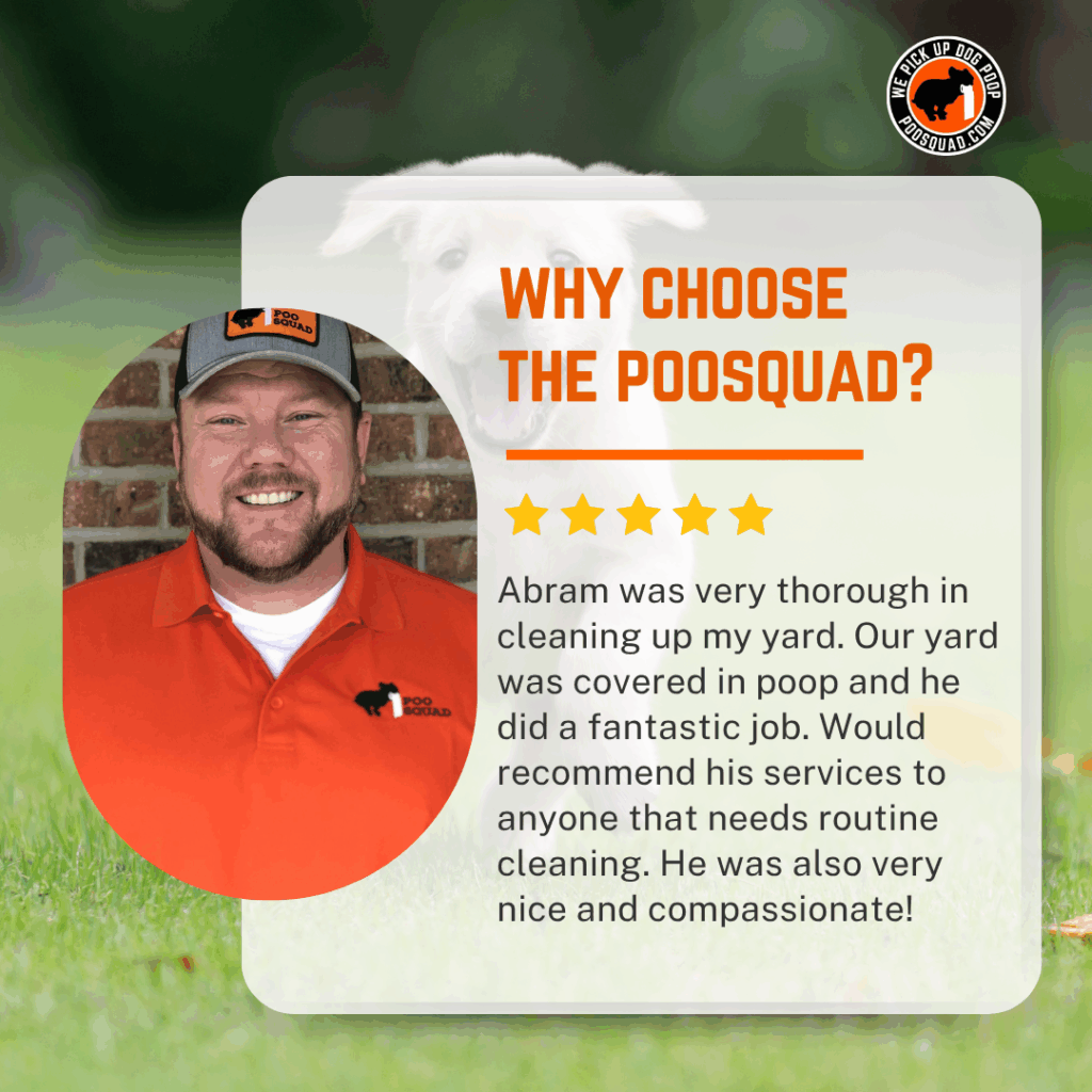 When to Hire a Professional Pooper Scooper Service