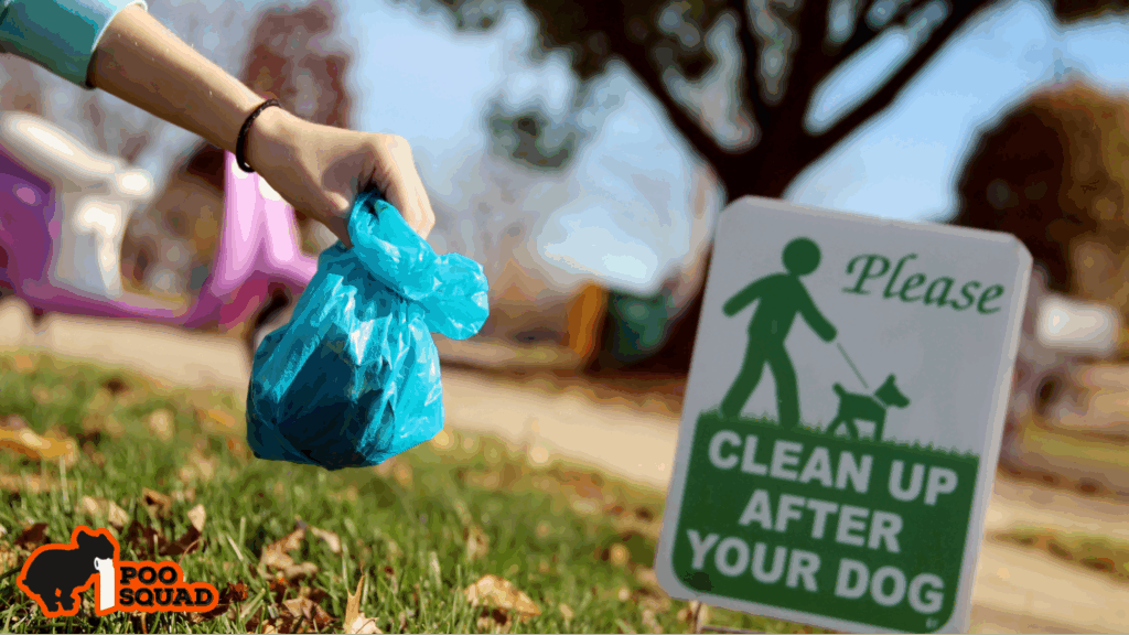 bacteria in dog poop health risks