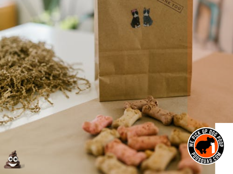 can you compost dog poop safely