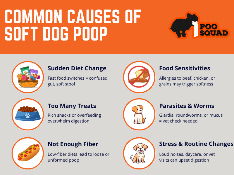 common causes soft dog poop