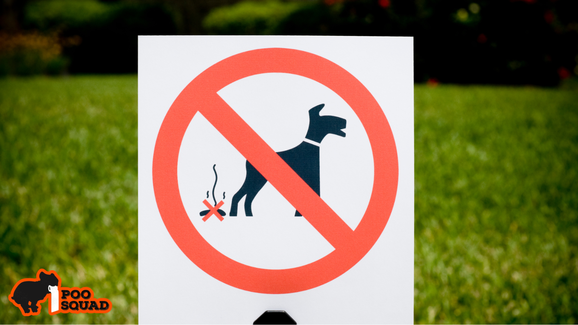 dog poop laws by state guide