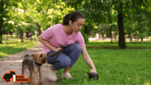 dog wont poop in yard solutions