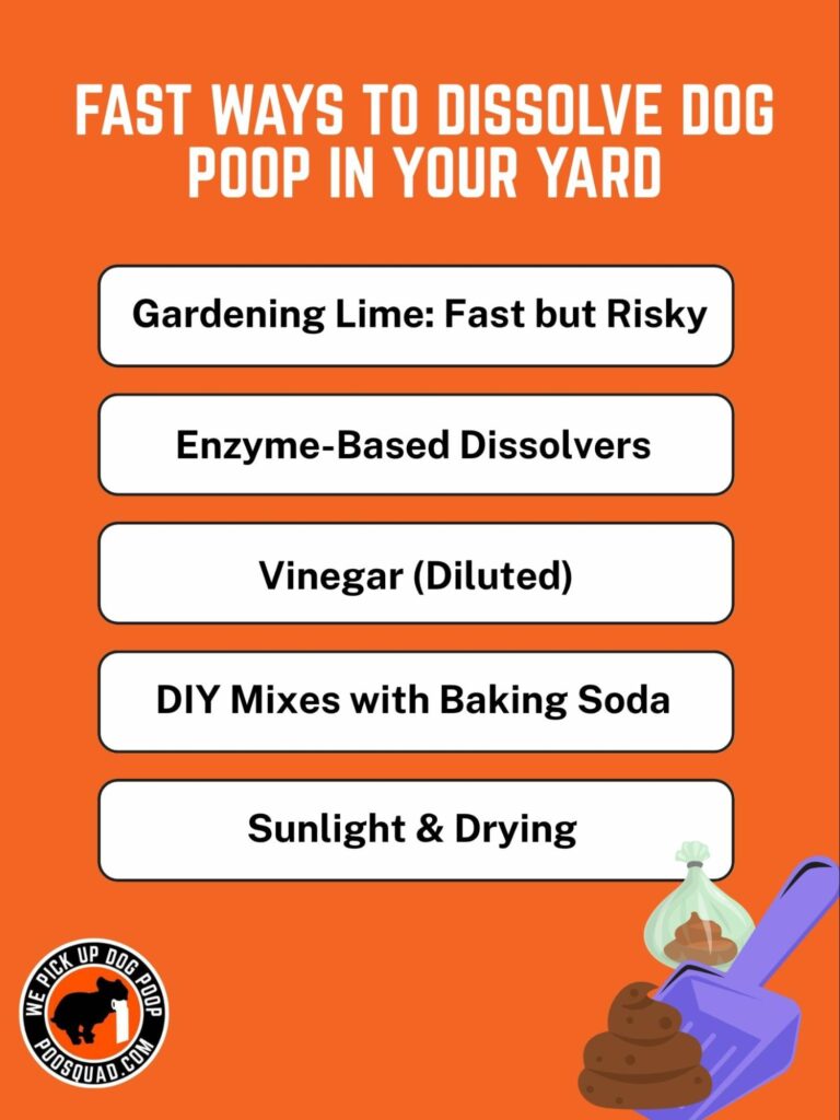 fast ways to dissolve dog poop in your yard