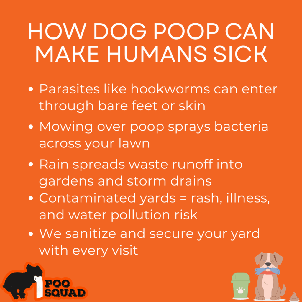 how dog poop can make humans sick