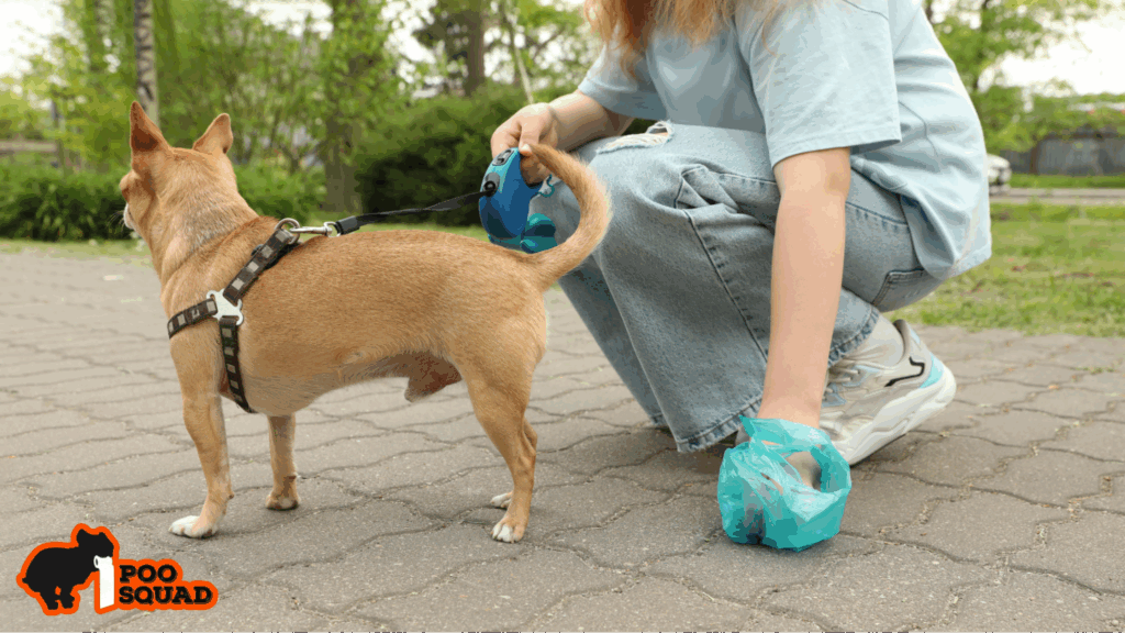 is it illegal to not pick up dog poop