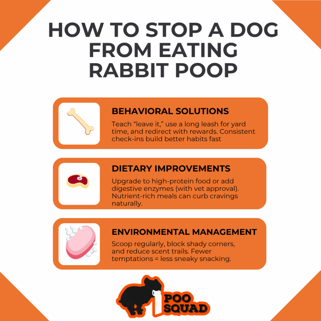 stop dog eating rabbit poop