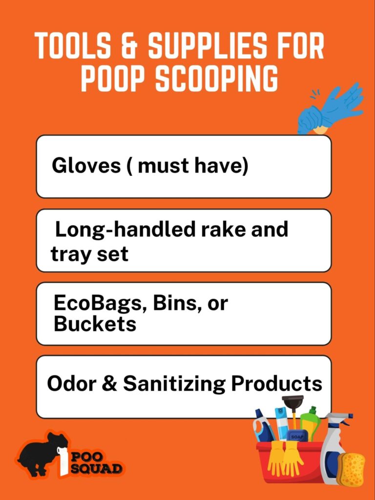 tools for dog poop pickup