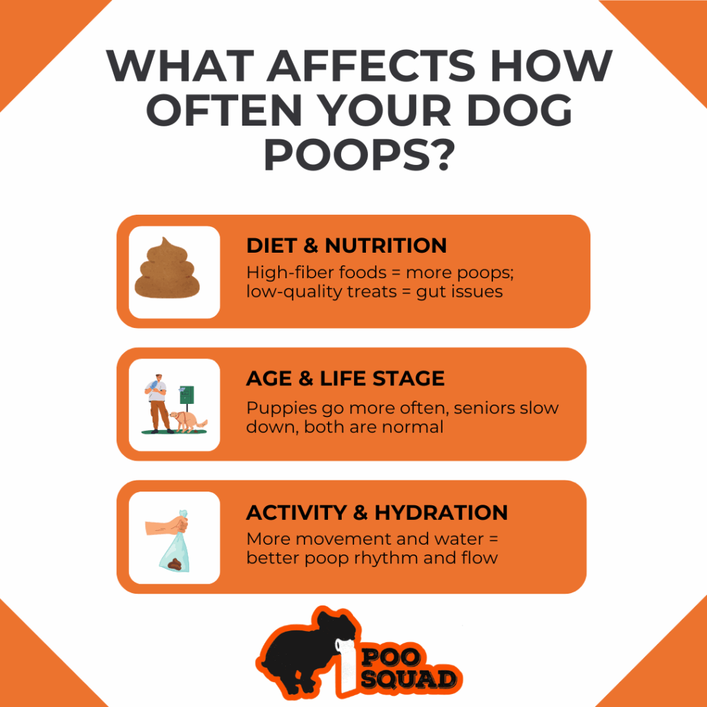 what affects poop frequency for dogs