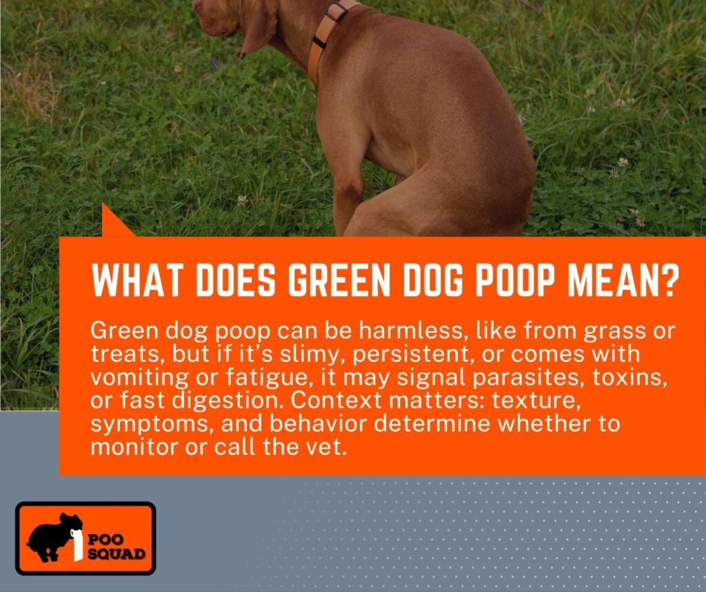 what does green dog poop mean