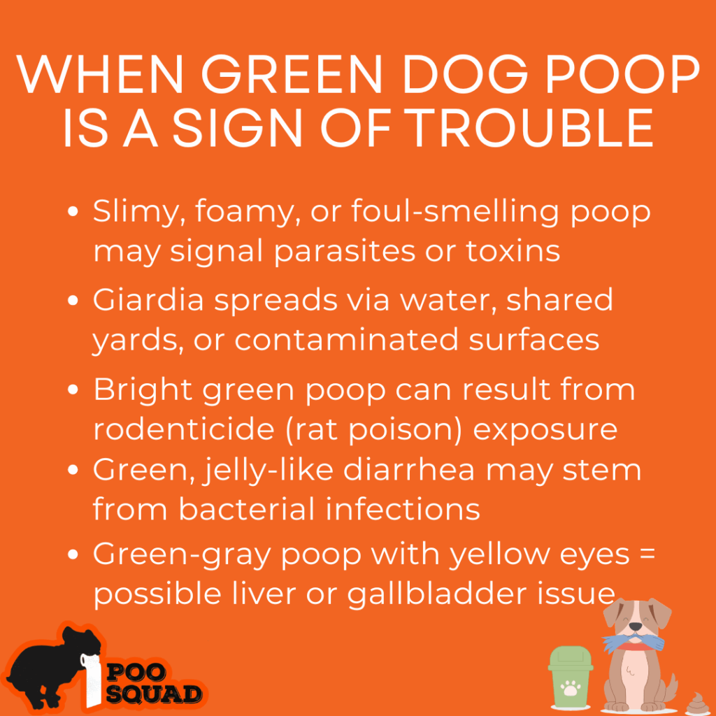 when green dog poop sign of trouble