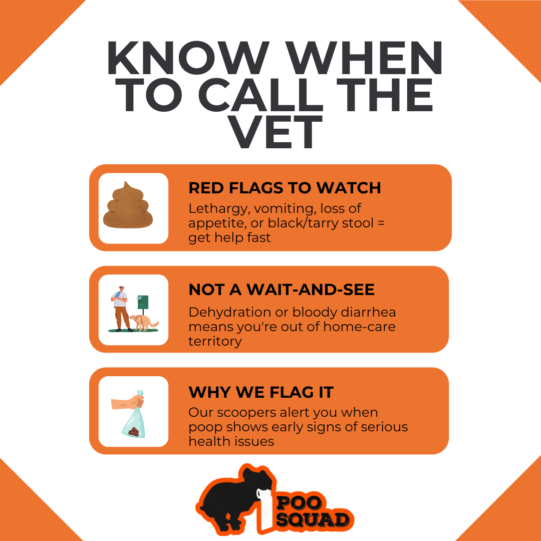 Dark Brown Diarrhea in Dogs: Causes & When to See a Vet