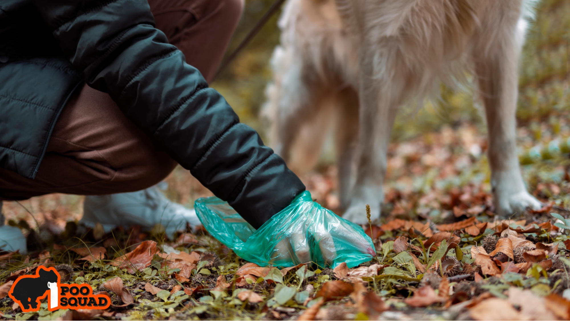 why dog poop smaller than usual