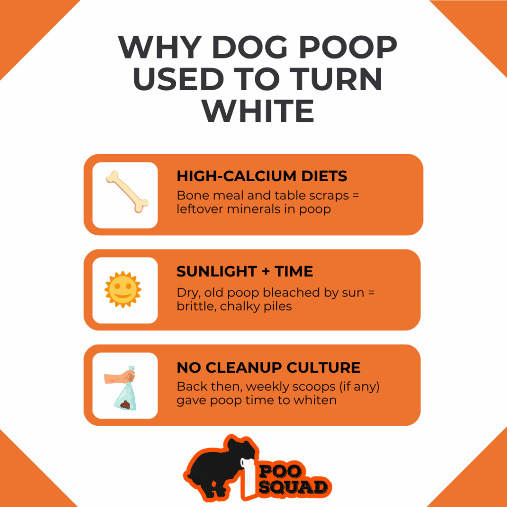 why dog poop used to be white
