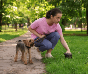 why is my dogs poop soft