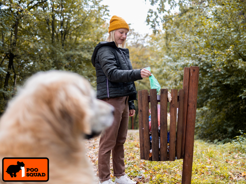 dog poop environmental impact