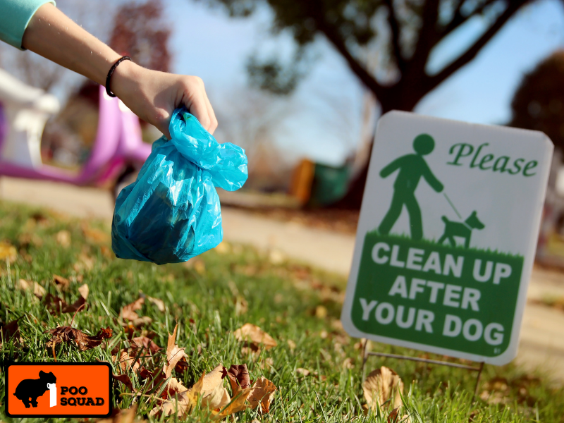 fines for not picking up dog poop