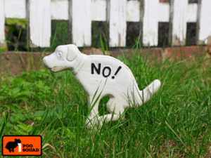 is it illegal to leave dog poop in yard