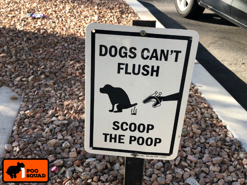 is it illegal to throw dog poop in garbage