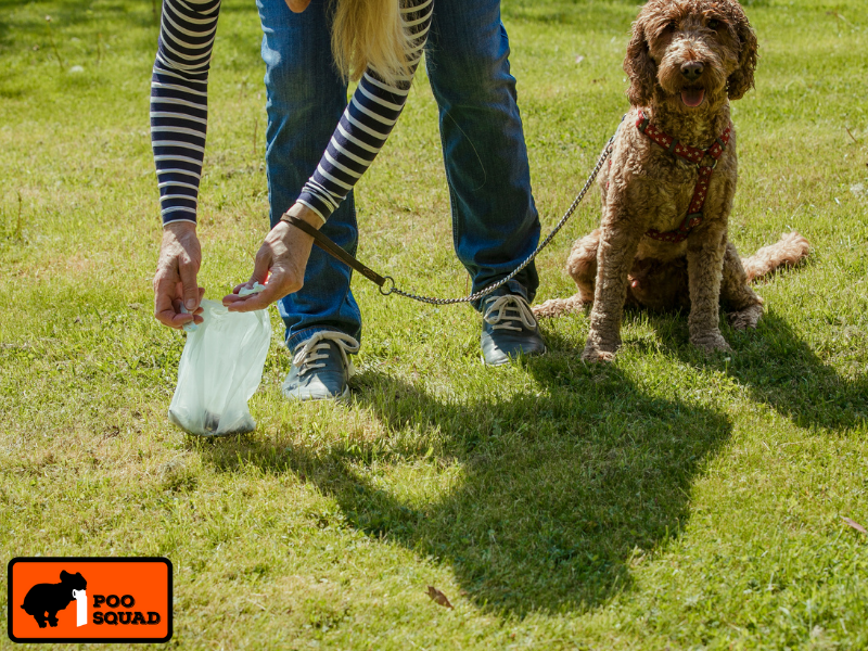 neighbors dog poop yard guide