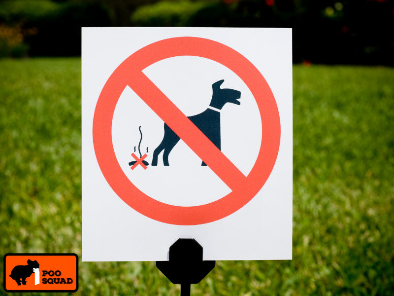 report neighbor not picking up dog poop