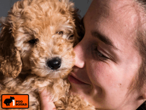 dangers of dog poop in house