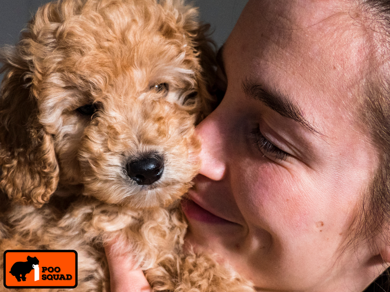 dangers of dog poop in house