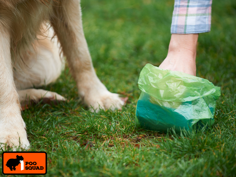 how to use a pooper scooper