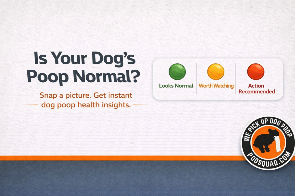 Free Dog Poop Analysis Tool