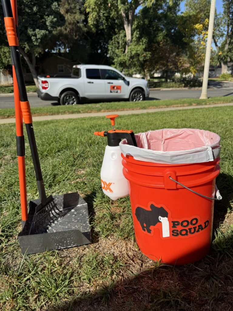 Pooper scooper tools used for dog waste removal in a residential yard in Eastvale and Corona